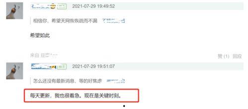 怎么看网上最新爆料,探寻真相背后的秘密
